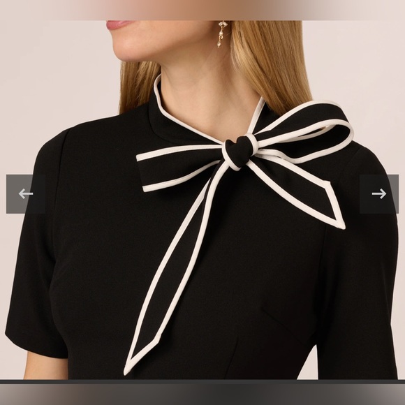 Andrianna Papell Kit Crepe Tie Neck Fit and Flare Dress - Picture 3 of 8